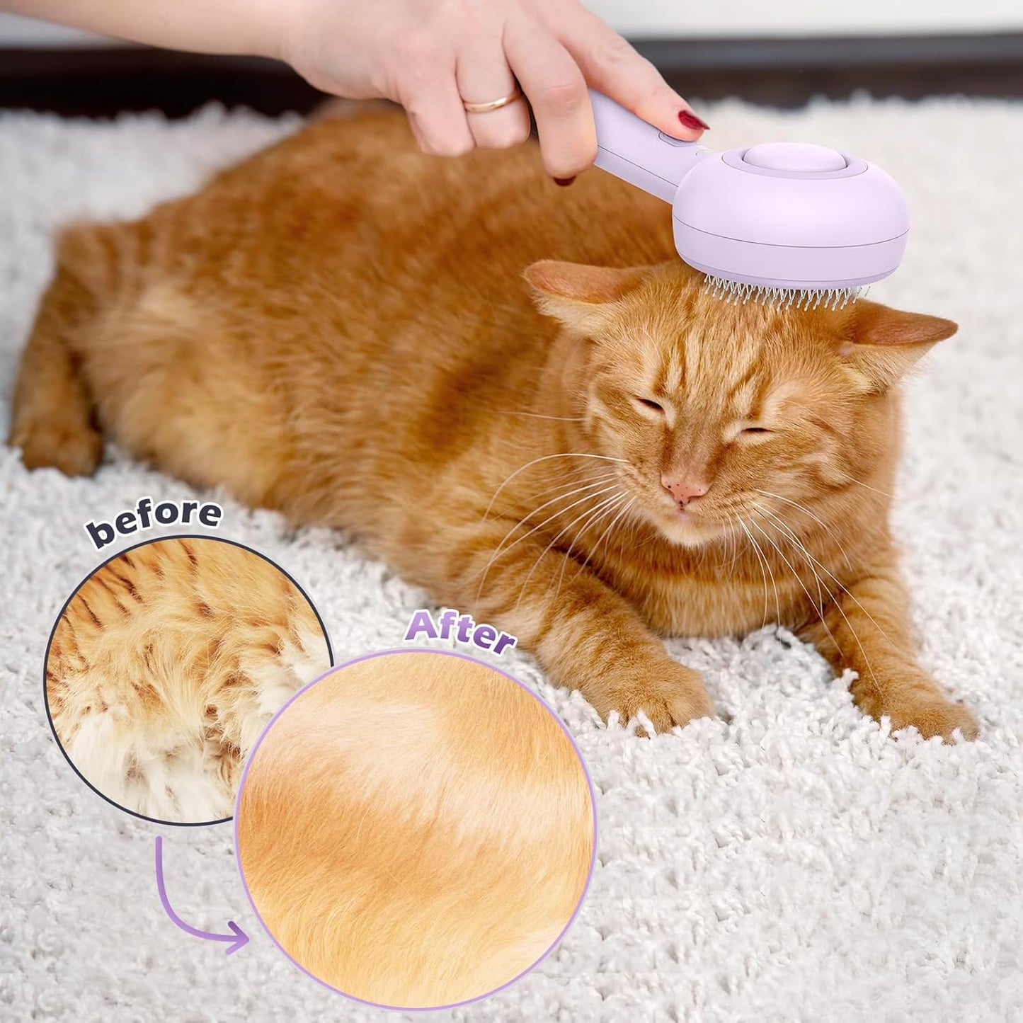 Cat Steam Brush, 3 in 1 Pet Steam Brush with Release Button and Water Tank, Steam Brush for Cats Dogs, Long and Short Hair